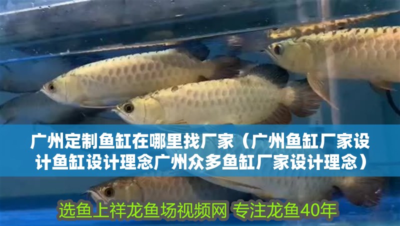 廣州定制魚缸在哪里找廠家（廣州魚缸廠家設(shè)計魚缸設(shè)計理念廣州眾多魚缸廠家設(shè)計理念）