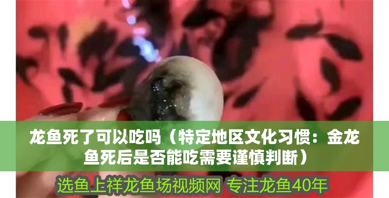 龍魚死了可以吃嗎（特定地區(qū)文化習(xí)慣：金龍魚死后是否能吃需要謹(jǐn)慎判斷）