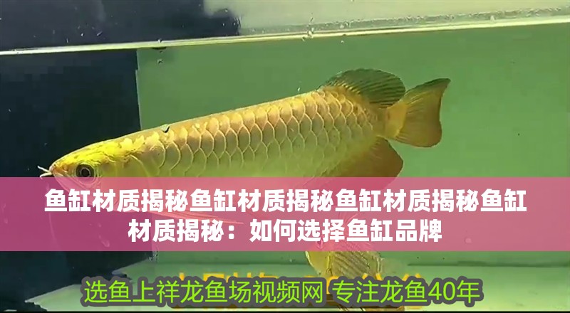 魚缸材質揭秘魚缸材質揭秘魚缸材質揭秘魚缸材質揭秘：如何選擇魚缸品牌 魚缸材質揭秘魚缸材質揭秘魚缸材質揭秘魚缸材質揭秘：如何選擇魚缸品牌 魚缸百科