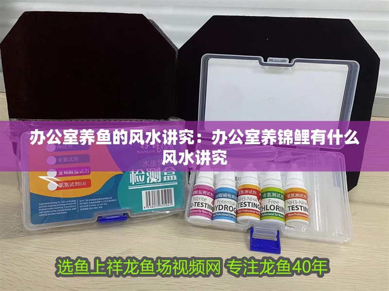 辦公室養(yǎng)魚的風(fēng)水講究：辦公室養(yǎng)錦鯉有什么風(fēng)水講究