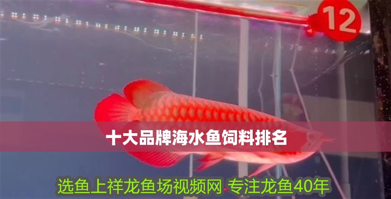 十大品牌海水魚飼料排名 十大品牌海水魚飼料排名 龍魚論壇