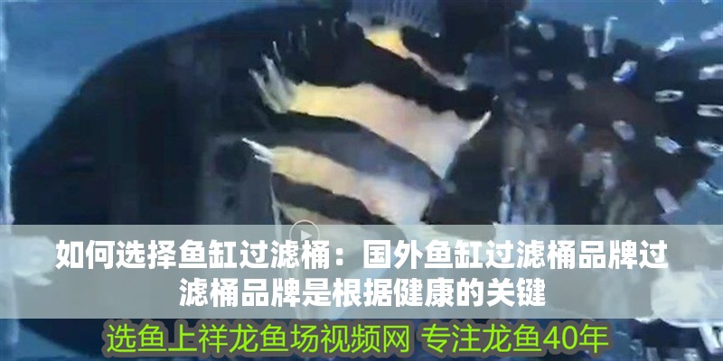 如何選擇魚缸過濾桶：國外魚缸過濾桶品牌過濾桶品牌是根據健康的關鍵