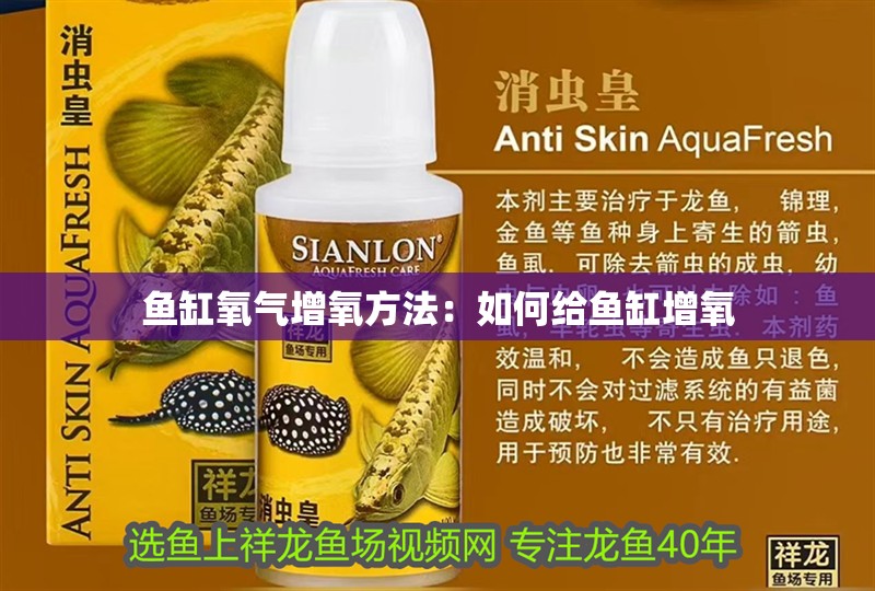 魚缸氧氣增氧方法：如何給魚缸增氧 魚缸氧氣增氧方法：如何給魚缸增氧 魚缸百科