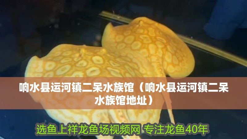 響水縣運河鎮(zhèn)二呆水族館（響水縣運河鎮(zhèn)二呆水族館地址）