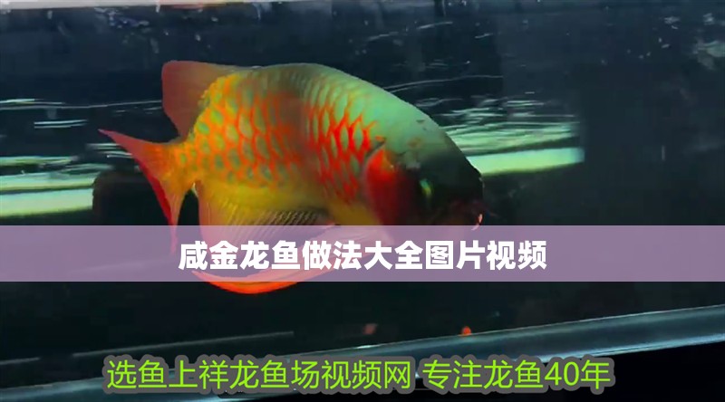 魚缸過濾器選購指南:自制魚缸過濾器魚缸上置過濾器對于養魚愛好者的必備知識 咸金龍魚做法大全圖片視頻 龍魚百科 咸金龍魚做法大全圖片視頻 咸金龍魚做法大全圖片視頻 龍魚百科