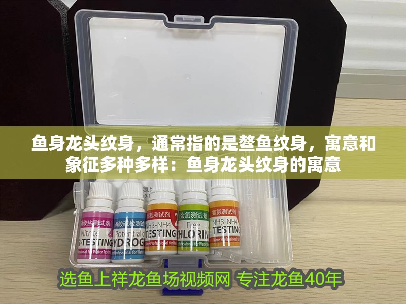 魚身龍頭紋身，通常指的是鰲魚紋身，寓意和象征多種多樣：魚身龍頭紋身的寓意 魚身龍頭紋身，通常指的是鰲魚紋身，寓意和象征多種多樣：魚身龍頭紋身的寓意 龍魚百科