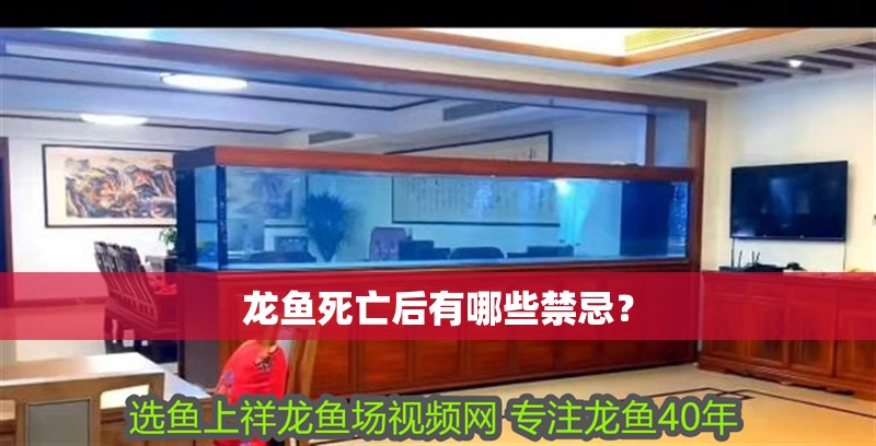龍魚死亡后有哪些禁忌？
