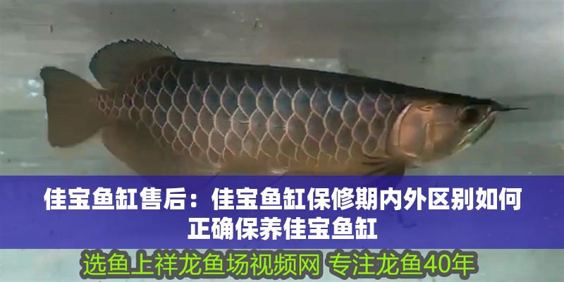 佳寶魚缸售后：佳寶魚缸保修期內外區別如何正確保養佳寶魚缸 佳寶魚缸售后：佳寶魚缸保修期內外區別如何正確保養佳寶魚缸 魚缸百科