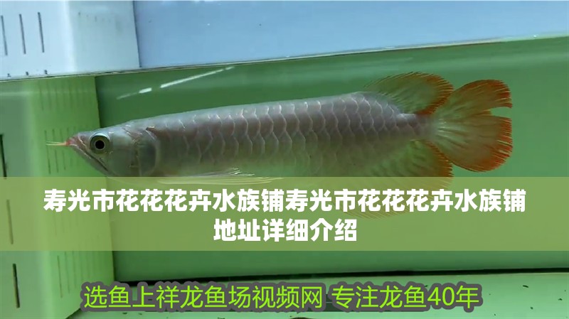 壽光市花花花卉水族鋪壽光市花花花卉水族鋪地址詳細介紹