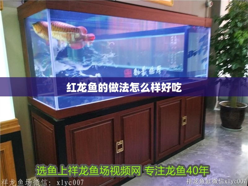 紅龍魚的做法怎么樣好吃 紅龍魚的做法怎么樣好吃 龍魚論壇