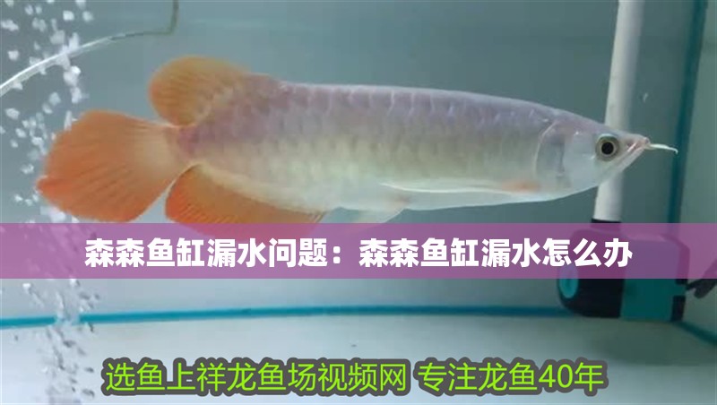 森森魚缸漏水問題：森森魚缸漏水怎么辦