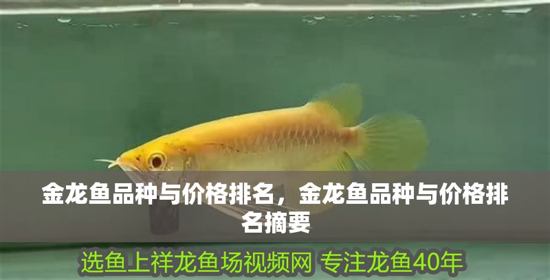 金龍魚品種與價格排名，金龍魚品種與價格排名摘要 金龍魚品種與價格排名，金龍魚品種與價格排名摘要 龍魚百科