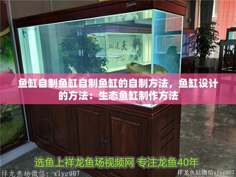 魚缸自制魚缸自制魚缸的自制方法，魚缸設(shè)計(jì)的方法：生態(tài)魚缸制作方法