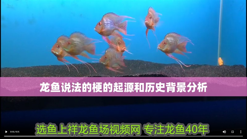 龍魚說法的梗的起源和歷史背景分析