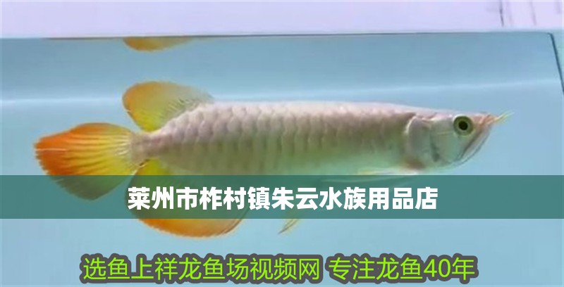 萊州市柞村鎮朱云水族用品店