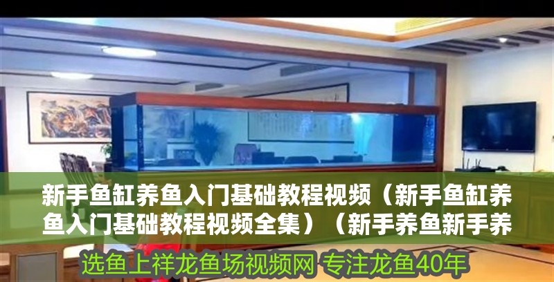 魚缸用增氧泵價格是多少:魚缸增氧機-xtrac增氧機-xtrac增氧機 新手魚缸養魚入門基礎教程視頻(新手魚缸養魚入門基礎教程視頻全集)(新手養魚新手養魚入門基礎教程) 魚缸百科 新手魚缸養魚入門基礎教程視頻(新手魚缸養魚入門基礎教程視頻全集)(新手養魚新手養魚入門基礎教程) 新手魚缸養魚入門基礎教程視頻(新手魚缸養魚入門基礎教程視頻全集)(新手養魚新手養魚入門基礎教程) 魚缸百科