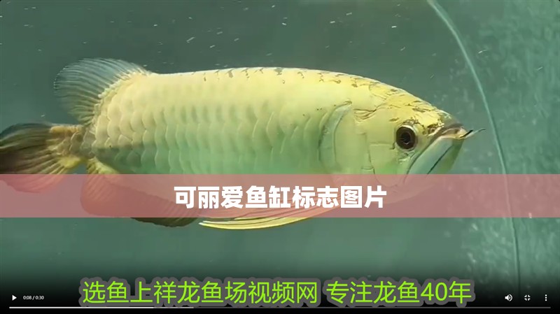 可麗愛魚缸標(biāo)志圖片