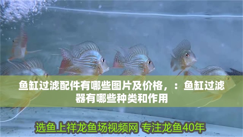 魚缸過濾配件有哪些圖片及價格，：魚缸過濾器有哪些種類和作用
