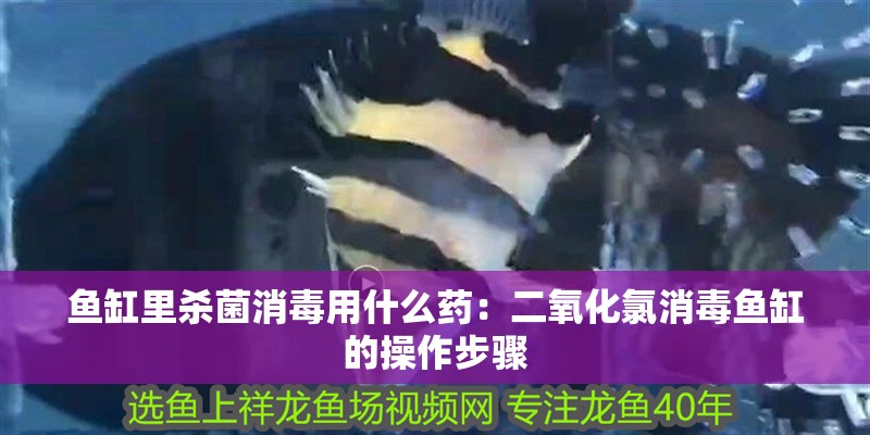 魚缸里殺菌消毒用什么藥：二氧化氯消毒魚缸的操作步驟 魚缸里殺菌消毒用什么藥：二氧化氯消毒魚缸的操作步驟 魚缸百科