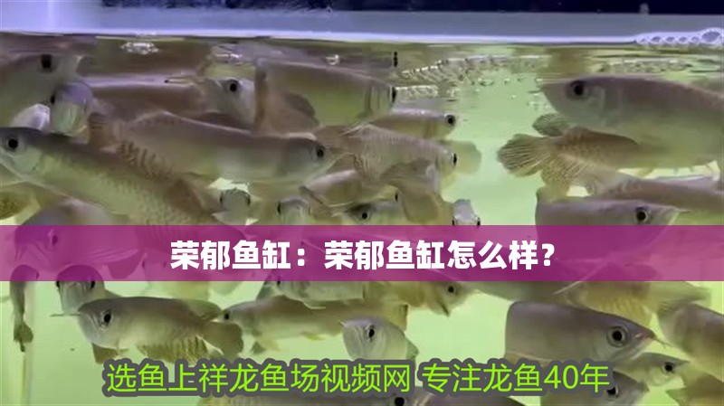 榮郁魚缸：榮郁魚缸怎么樣？