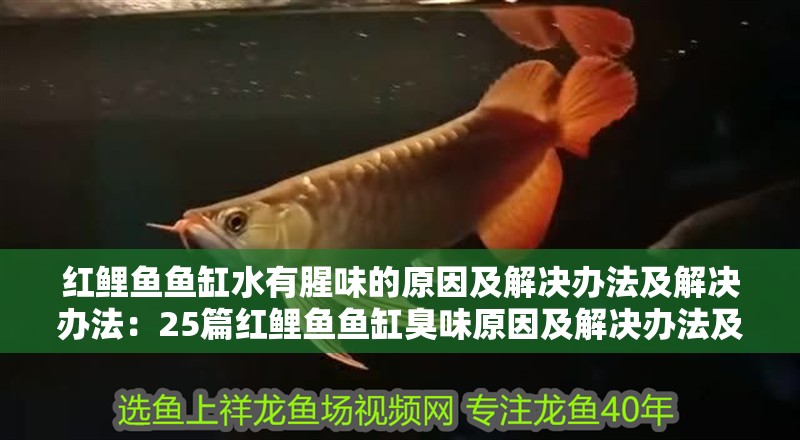 魚缸用增氧泵價格是多少:魚缸增氧機-xtrac增氧機-xtrac增氧機 紅鯉魚魚缸水有腥味的原因及解決辦法及解決辦法:25篇紅鯉魚魚缸臭味原因及解決辦法及解決辦法 魚缸百科 紅鯉魚魚缸水有腥味的原因及解決辦法及解決辦法:25篇紅鯉魚魚缸臭味原因及解決辦法及解決辦法 紅鯉魚魚缸水有腥味的原因及解決辦法及解決辦法:25篇紅鯉魚魚缸臭味原因及解決辦法及解決辦法 魚缸百科