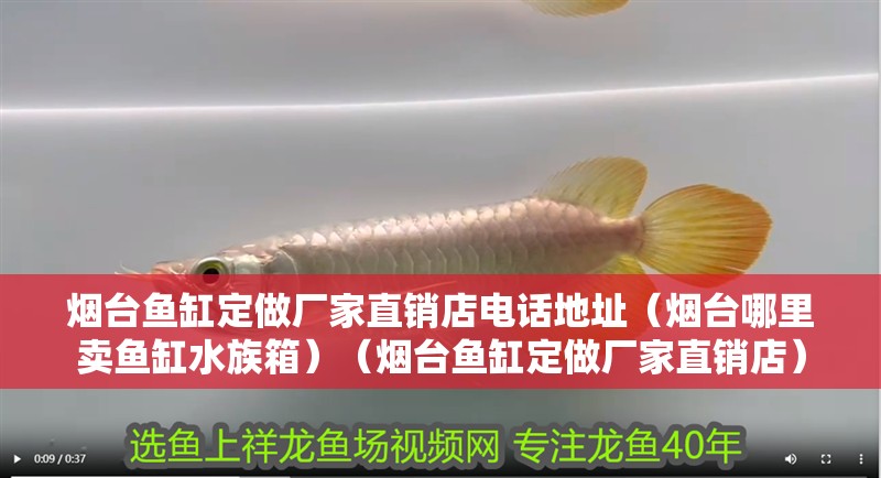 煙臺魚缸定做廠家直銷店電話地址（煙臺哪里賣魚缸水族箱）（煙臺魚缸定做廠家直銷店）
