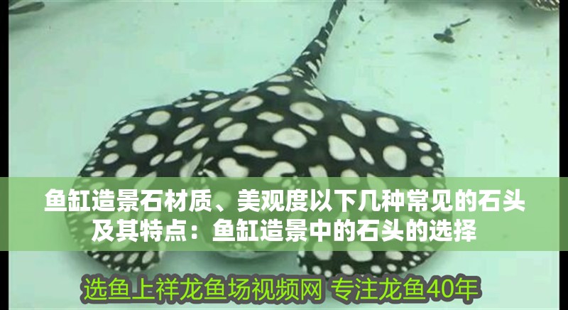 魚缸造景石材質、美觀度以下幾種常見的石頭及其特點：魚缸造景中的石頭的選擇