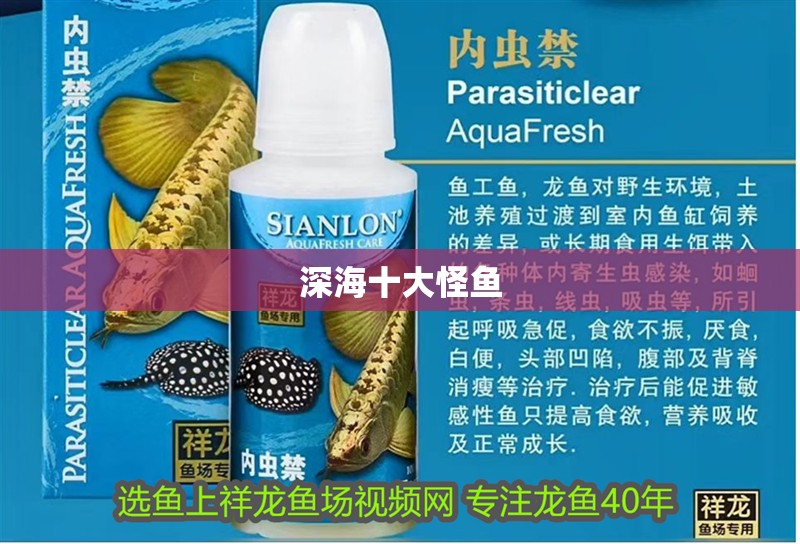 深海十大怪魚(yú)