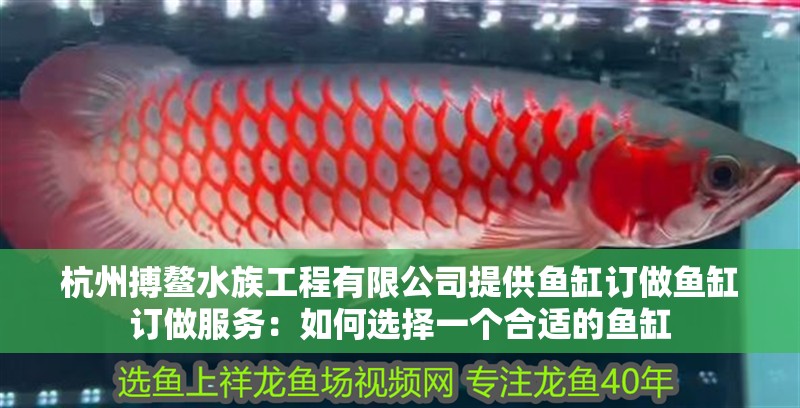杭州搏鰲水族工程有限公司提供魚缸訂做魚缸訂做服務：如何選擇一個合適的魚缸 杭州搏鰲水族工程有限公司提供魚缸訂做魚缸訂做服務：如何選擇一個合適的魚缸 魚缸百科