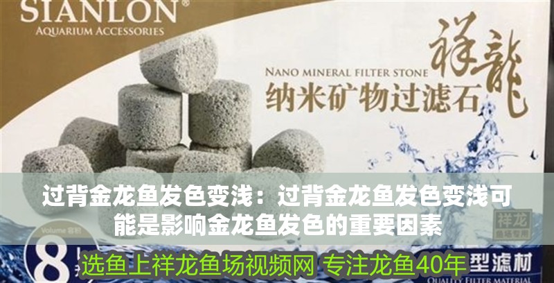 過(guò)背金龍魚(yú)發(fā)色變淺：過(guò)背金龍魚(yú)發(fā)色變淺可能是影響金龍魚(yú)發(fā)色的重要因素