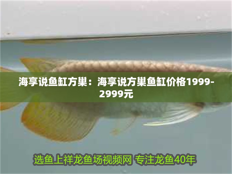 海享說魚缸方巢：海享說方巢魚缸價格1999-2999元