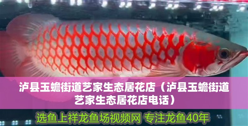 瀘縣玉蟾街道藝家生態(tài)居花店（瀘縣玉蟾街道藝家生態(tài)居花店電話）