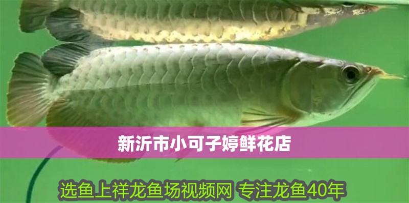 新沂市小可子婷鮮花店