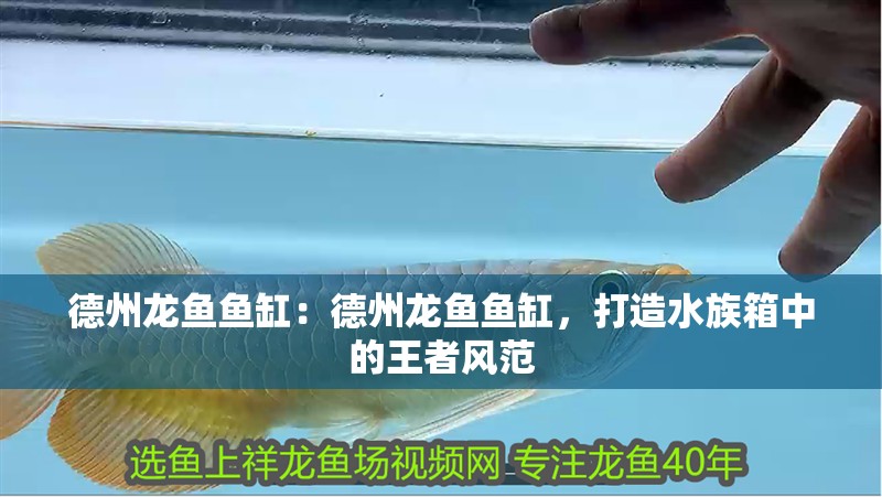 <strong><mark>德州</mark></strong>龍魚魚缸：<strong><mark>德州</mark></strong>龍魚魚缸，打造水族箱中的王者風范