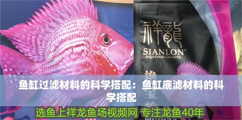 魚缸過濾材料的科學搭配：魚缸底濾材料的科學搭配