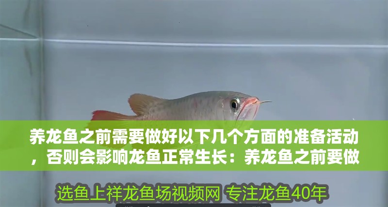 魚缸造景先放沙還是先放水(魚缸造景先鋪沙還是先放石頭) 養龍魚之前需要做好以下幾個方面的準備活動,否則會影響龍魚正常生長:養龍魚之前要做的準備活動 龍魚百科 養龍魚之前需要做好以下幾個方面的準備活動,否則會影響龍魚正常生長:養龍魚之前要做的準備活動 養龍魚之前需要做好以下幾個方面的準備活動,否則會影響龍魚正常生長:養龍魚之前要做的準備活動 龍魚百科
