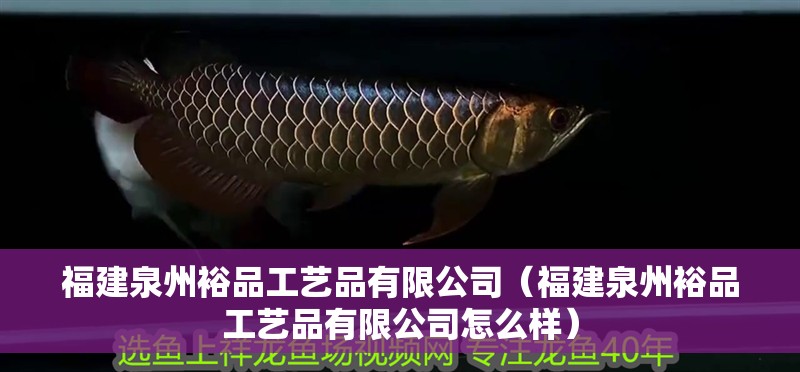福建泉州裕品工藝品有限公司（福建泉州裕品工藝品有限公司怎么樣）