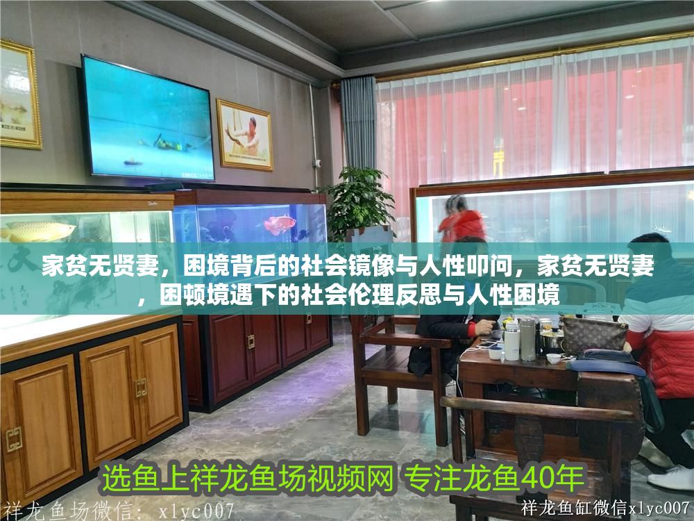 家貧無賢妻，困境背后的社會鏡像與人性叩問，家貧無賢妻，困頓境遇下的社會倫理反思與人性困境 家貧無賢妻，困境背后的社會鏡像與人性叩問，家貧無賢妻，困頓境遇下的社會倫理反思與人性困境 龍魚百科 第1張