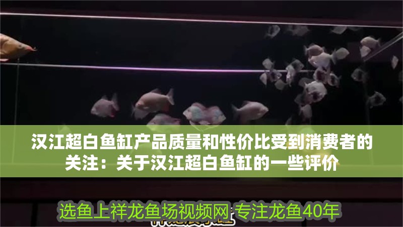 漢江超白魚缸產品質量和性價比受到消費者的關注：關于漢江超白魚缸的一些評價