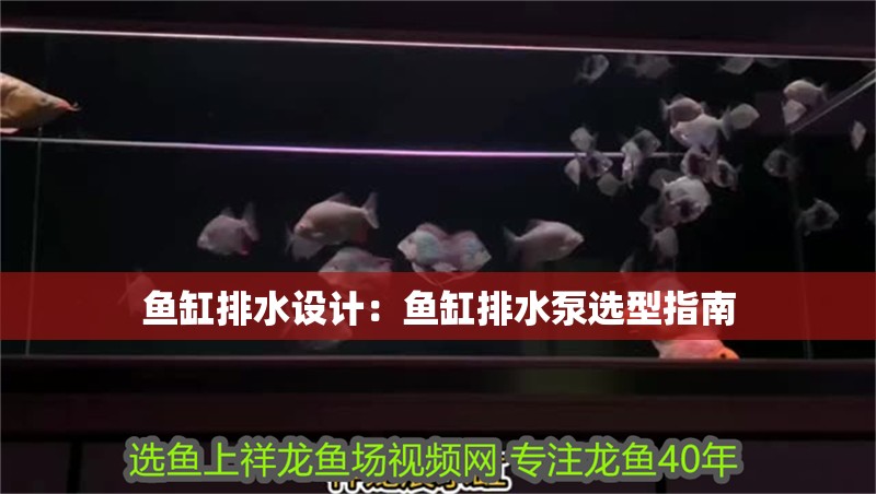 魚缸用增氧泵價格是多少:魚缸增氧機(jī)-xtrac增氧機(jī)-xtrac增氧機(jī) 魚缸排水設(shè)計:魚缸排水泵選型指南 魚缸百科 魚缸排水設(shè)計:魚缸排水泵選型指南 魚缸排水設(shè)計:魚缸排水泵選型指南 魚缸百科