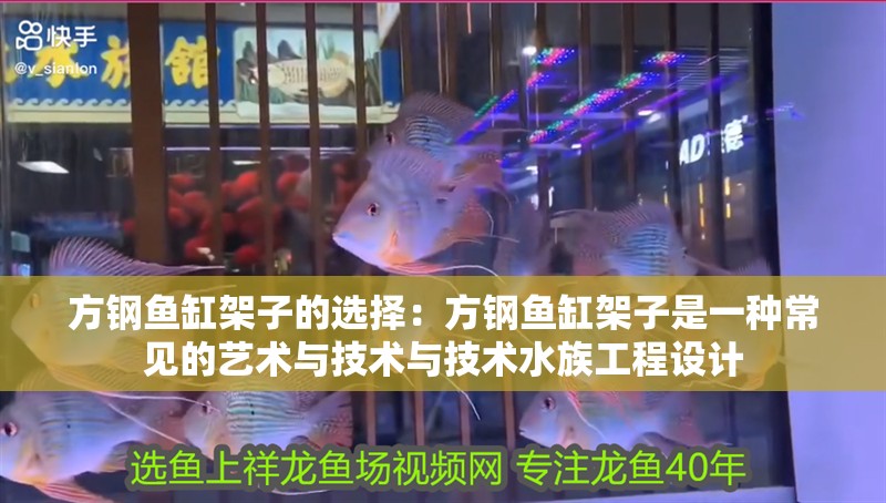 紅龍魚用黃燈烤有用嗎 方鋼魚缸架子的選擇:方鋼魚缸架子是一種常見的藝術與技術與技術水族工程設計 魚缸百科 方鋼魚缸架子的選擇:方鋼魚缸架子是一種常見的藝術與技術與技術水族工程設計 方鋼魚缸架子的選擇:方鋼魚缸架子是一種常見的藝術與技術與技術水族工程設計 魚缸百科