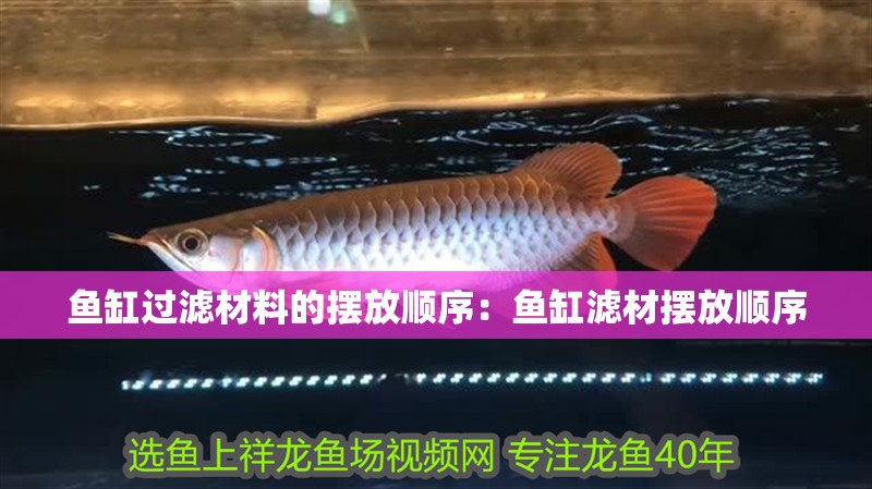 魚缸過(guò)濾材料的擺放順序：魚缸濾材擺放順序 魚缸過(guò)濾材料的擺放順序：魚缸濾材擺放順序 魚缸百科