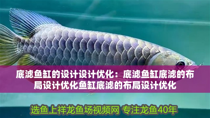 底濾魚缸的設計設計優化：底濾魚缸底濾的布局設計優化魚缸底濾的布局設計優化