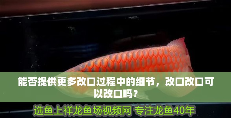 能否提供更多改口過程中的細節，改口改口可以改口嗎？