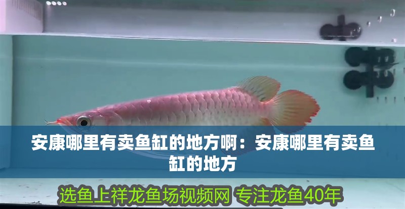 安康哪里有賣魚缸的地方?。喊部的睦镉匈u魚缸的地方