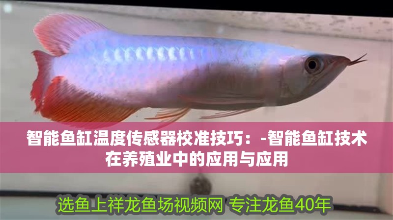 智能魚缸溫度傳感器校準技巧：-智能魚缸技術在養殖業中的應用與應用 智能魚缸溫度傳感器校準技巧：-智能魚缸技術在養殖業中的應用與應用 魚缸百科