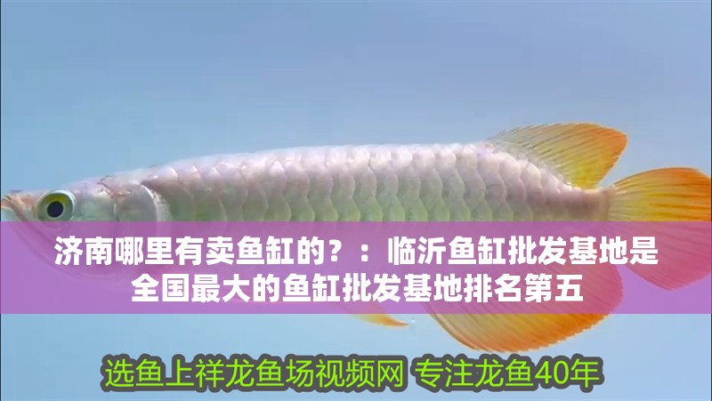 濟南哪里有賣魚缸的？：臨沂魚缸批發基地是全國最大的魚缸批發基地排名第五
