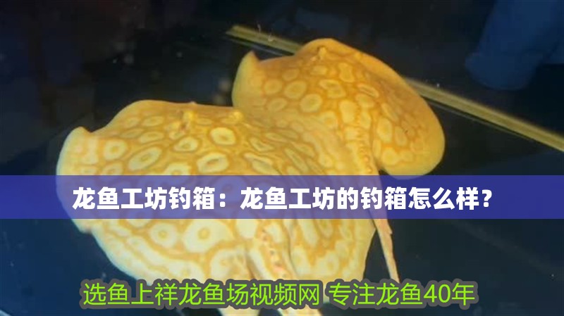 龍魚工坊釣箱：龍魚工坊的釣箱怎么樣？