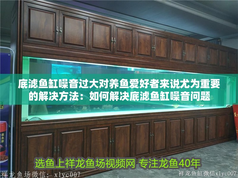 底濾魚缸噪音過大對養魚愛好者來說尤為重要的解決方法：如何解決底濾魚缸噪音問題 底濾魚缸噪音過大對養魚愛好者來說尤為重要的解決方法：如何解決底濾魚缸噪音問題 魚缸百科