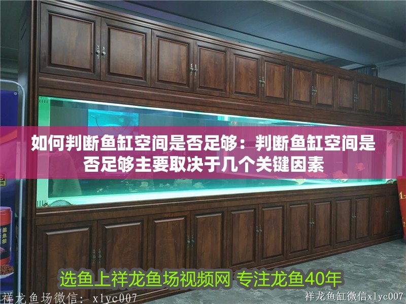 如何判斷魚(yú)缸空間是否足夠：判斷魚(yú)缸空間是否足夠主要取決于幾個(gè)關(guān)鍵因素